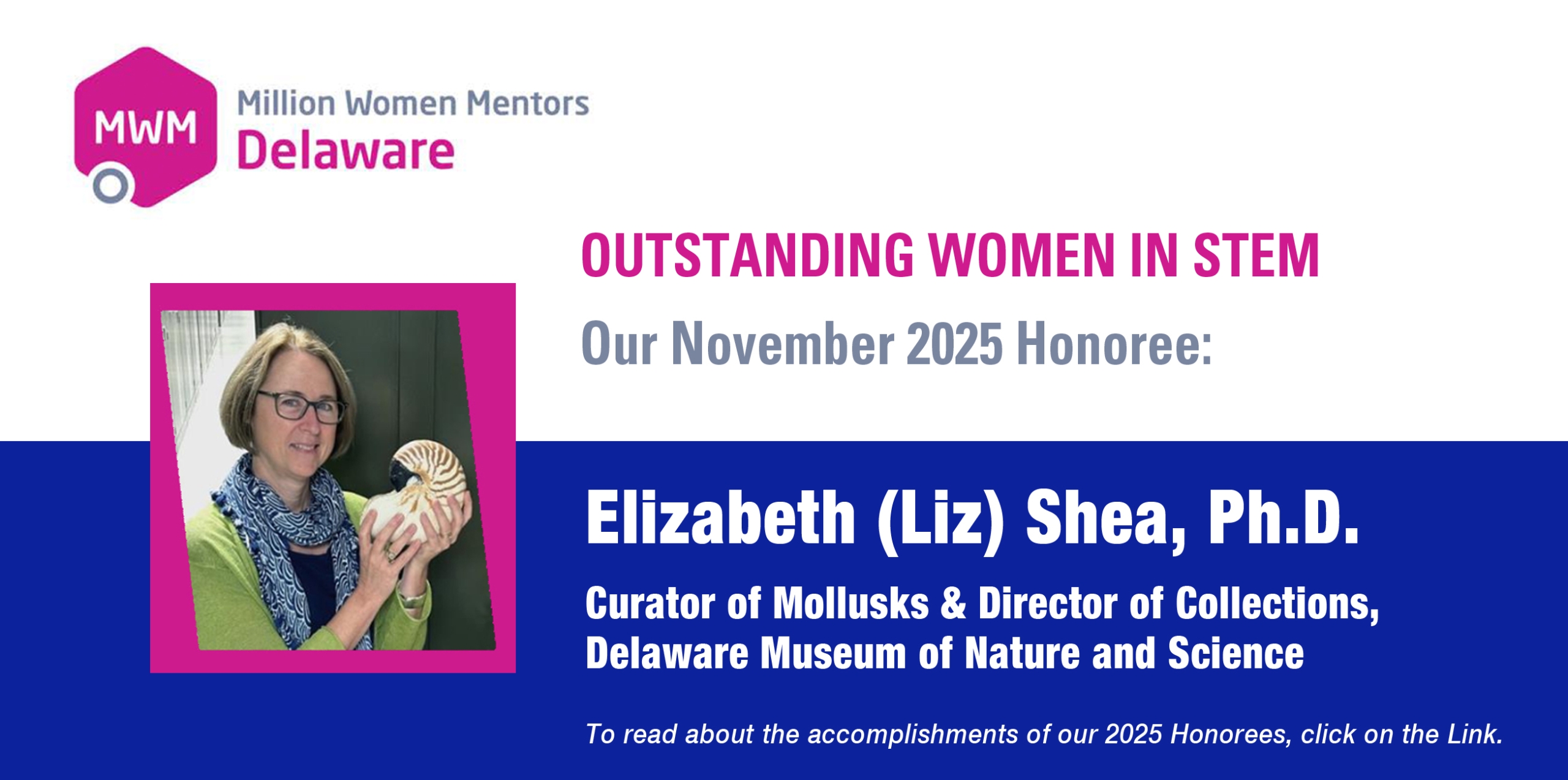 MWM Outstanding SLIDER Shea